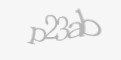 Güvenlik kodu