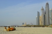 Dubai - 8