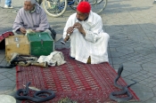 Marakeş (Marrakech)_6