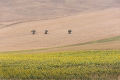 David Gareja yolundan bir fotoğraf