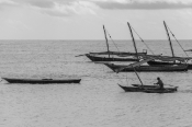 Nungwi'de Balıkçı Tekneleri (Fisher Boats in Nungwi)