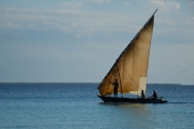 Balıkçı Teknesi (Fisher Boat) - 4